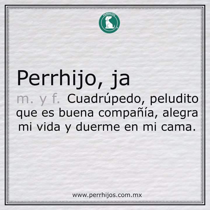 sdaut74's tweet photo. Los mios.....🐶🐕🐩🐾 https://t.co/nZ9LpWR9Hx