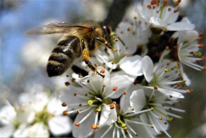 Einen wunderschönen guten morgen wünsche ich euch allen 💕 kommt gut durch den Tag 🍀