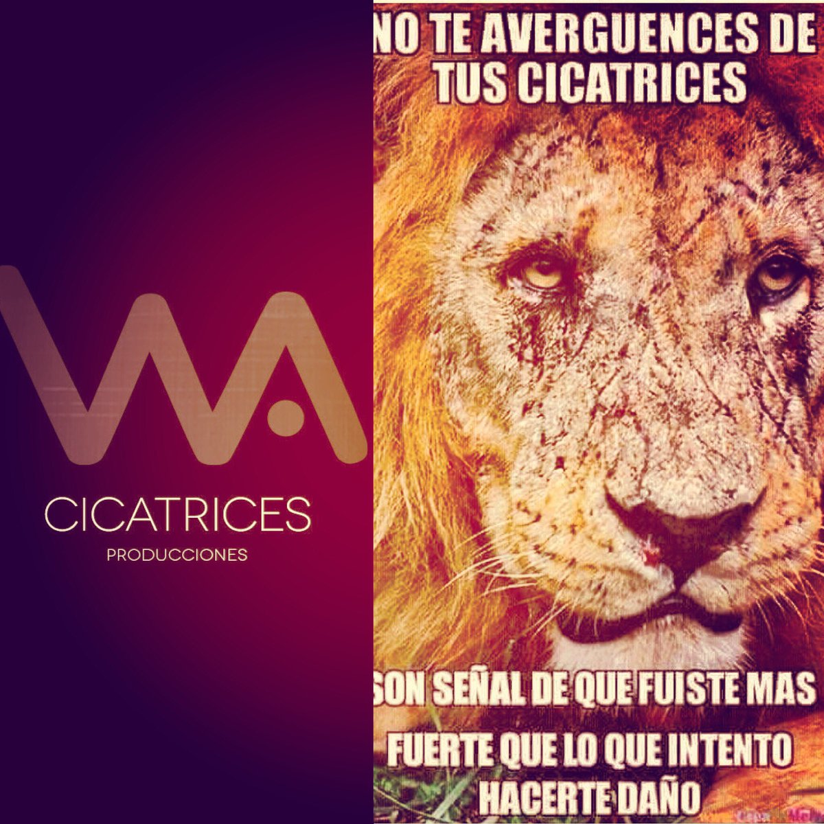 Alefioreok's tweet photo. https://t.co/njSkS6H8jM