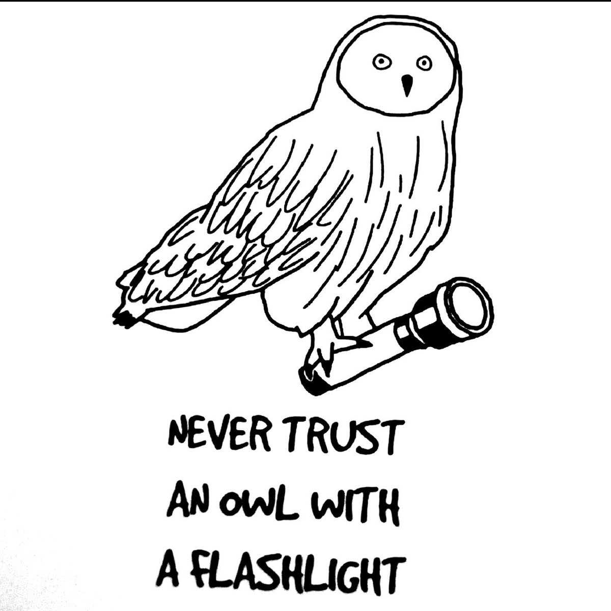 AdelGastel's tweet photo. Never trust an #owl with a flashlight
#deceit #falsehood #lie #untruth https://t.co/nlbXNljDi1