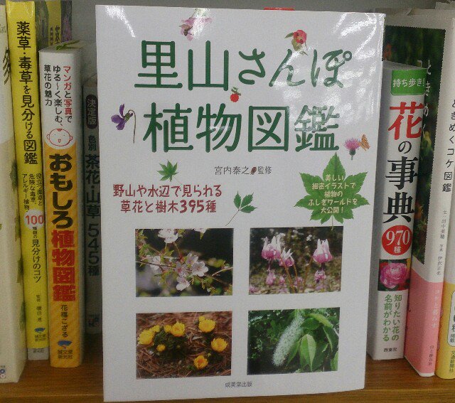 紀伊國屋書店仙台店 図鑑 自然観察をはじめるなら まずは里山がおすすめです お供に 里山さんぽ植物図鑑 はいかがですか うつくしい細密イラストで 植物のふしぎワールドを大公開 ｂ09 04にて展開しております ｙ