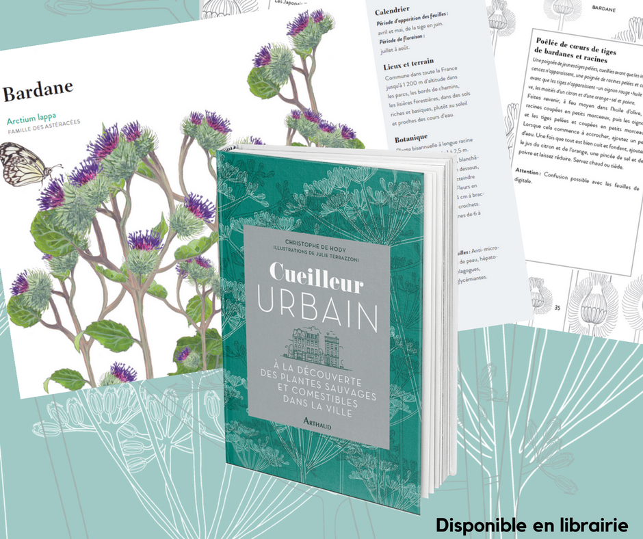 Dans nos parcs, jardins et sous-bois, <a href="/cdehody/">Christophe de Hody</a> nous initie aux vertus insoupçonnées des plantes sauvages et comestibles qui nous entourent.