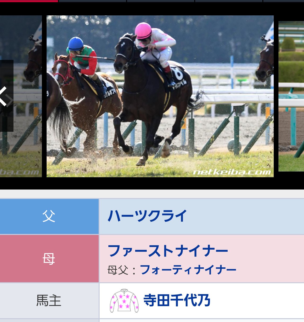 ファッションオヤジの競馬 A Twitter プレゼンター松坂桃季 ファンディーナ1番人気 牝馬が飛んで 女性馬主 だったと云うオチに期待したいです マイスタイルの馬主は寺田千代乃さん ミスパンテールの馬主です 桜に隠れてますが 桃 の花の 季 節でもあります