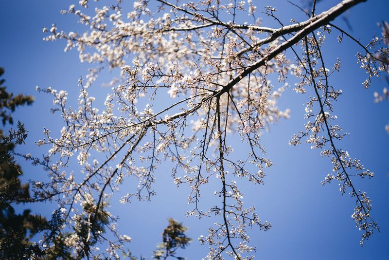 crymnash's tweet image. Весна 2017 в Крыму crymnash.ru/vesna-2017-v-k…