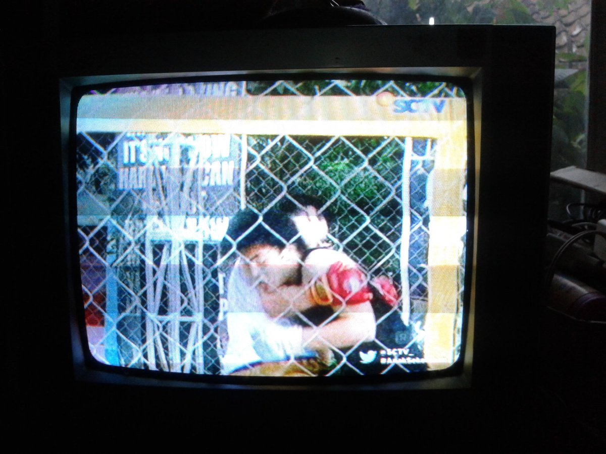 Thv tweet media