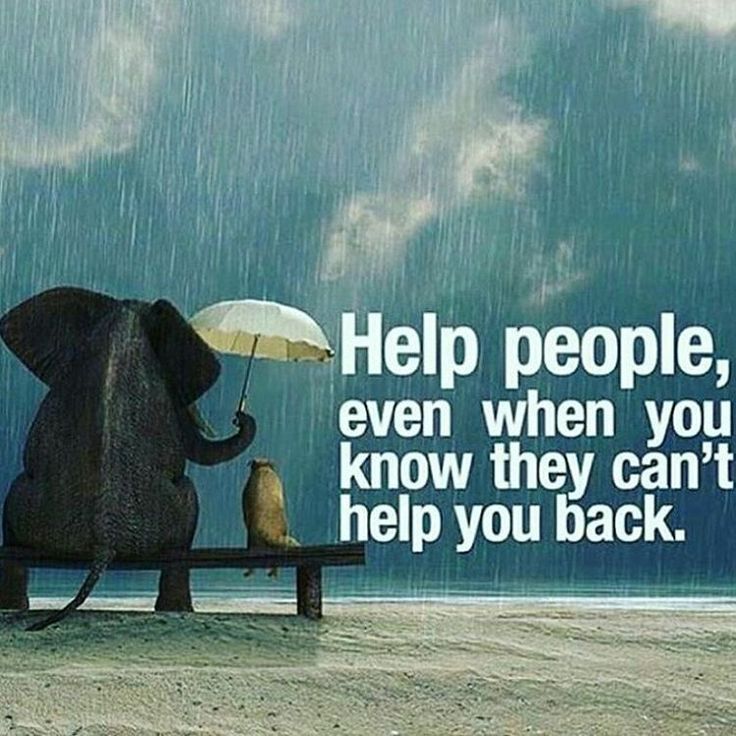 Funddom's tweet photo. No act of kindness, no matter how small, is ever wasted. #Charity #Fundraising #HelpforOthers https://t.co/IESjzxm3xP