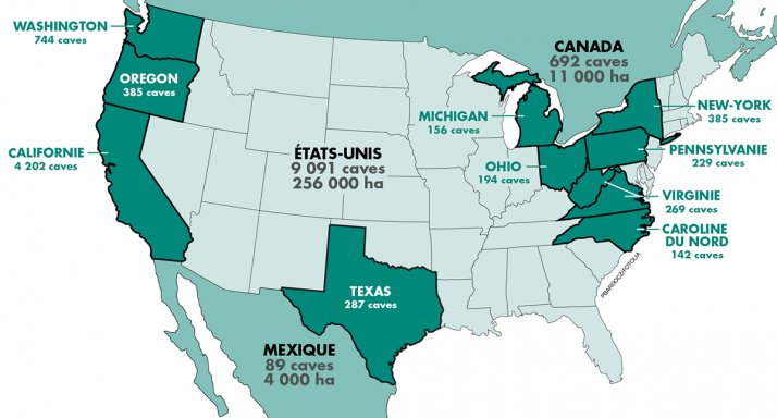 2️⃣ : D'où viennent les + gros producteurs de #vin des #USA ? 🤔 - <a href="/mon_viti/">mon-viti</a> #wine

✳️ bit.ly/2ohMRnF 
#WineMorning 🍷⚡️
