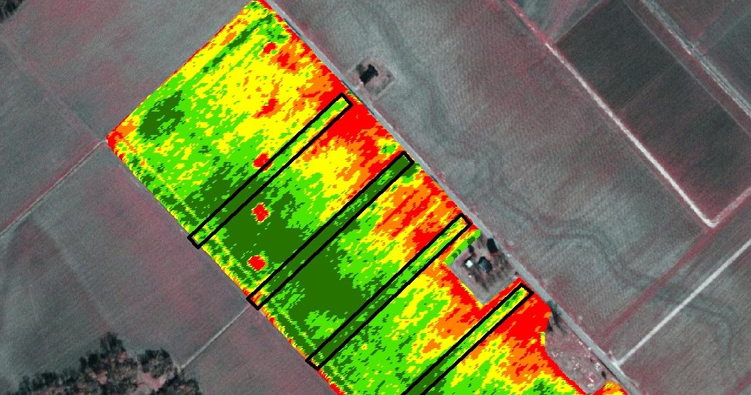 The Dutch, innovative leaders in #agrifood, to invest $1.5 M for satellites to collect crop data from outer space - sot.ag/67dtP