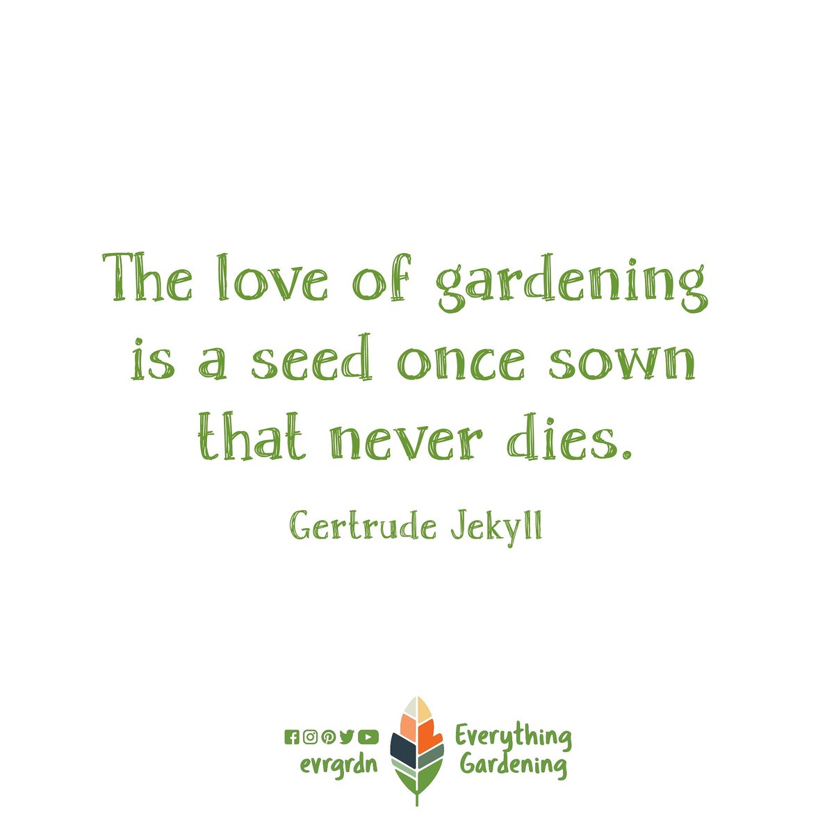 evrgrdn's tweet photo. The joy is unreal.
#gardening #joy #seed #love #grow #plants #trees #herbs #vines #nature #flora #evrgrdn https://t.co/K2gvcux16H