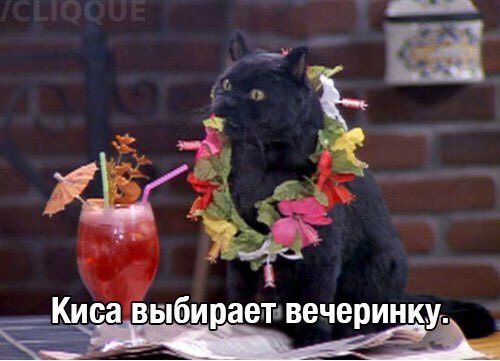 rscgnm's tweet photo. А не вот это все вокруг https://t.co/Hskms9jaAc