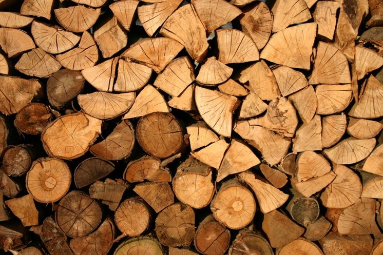 Forest biomass could become “a big opportunity for the future” of bioenergy. Read more on bio based world news buff.ly/2nmuGzS