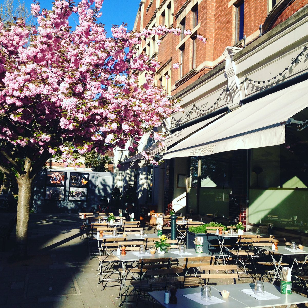 CMarieLemieux's tweet image. #Barnes in bloom @Olympic_Cinema