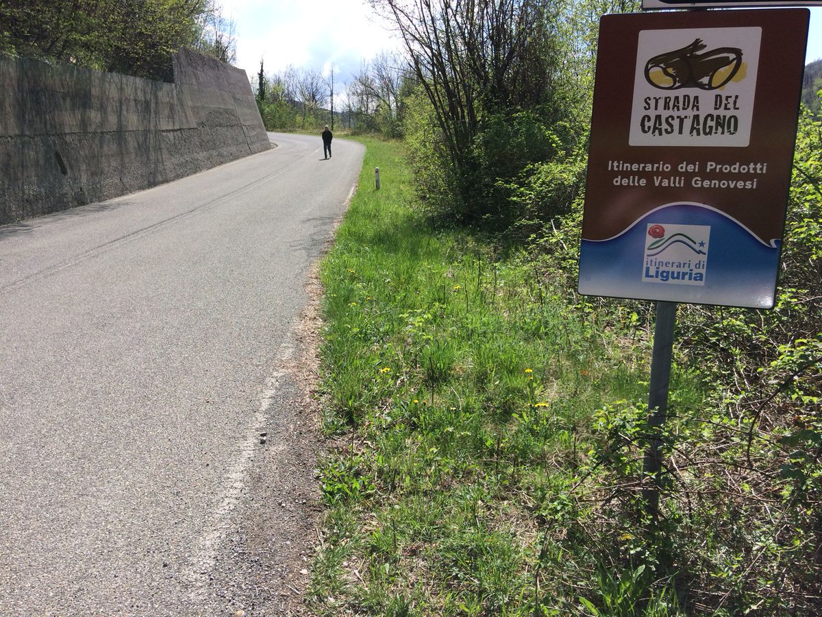 Galgenovese's tweet photo. La #Castagna avanza! Ecco i cartelli della #StradadelCastagno nel Comune di #Valbrevenna!
#lamialiguria  #workinprogress #entroterra https://t.co/u1XrdIO7Ud