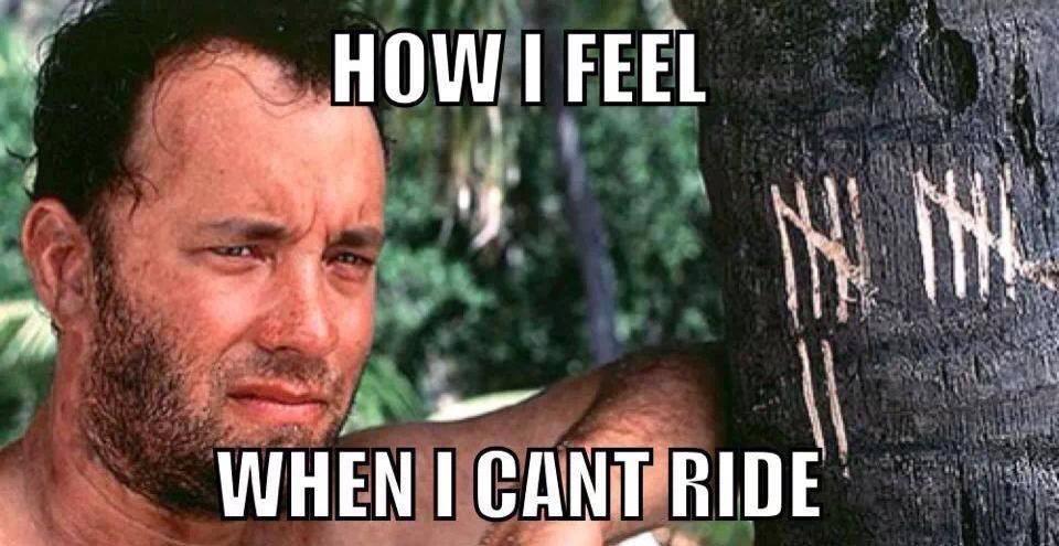 _MTB_mike_'s tweet photo. Only been 4 days 😔 #grumpy https://t.co/tiyBX9wW5U