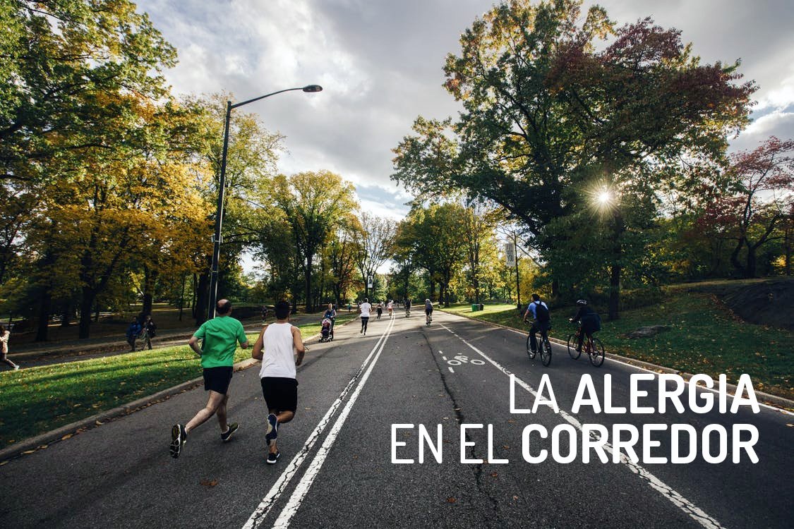 chefatleta tweet media