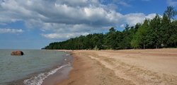 FunTribuna's tweet image. Have you ever thought of sunbathing under Northern sun? Take commute train to Komarovo from Finlandsky station: pine forest and cool sea!