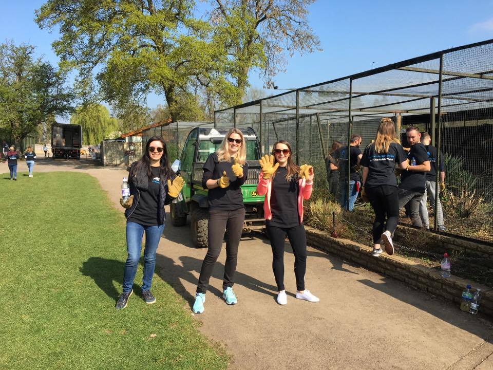 Cathrin_Rathke's tweet photo. Such a fun Charity Day @BealePark #LifeAtPega #CharityWorks @tjakubonyte @PegaLucie @AmiePega https://t.co/Wxr4EGtZhf