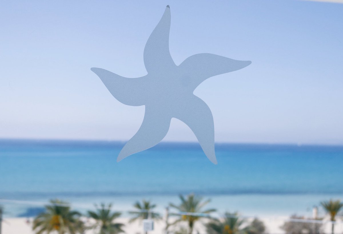 Buenos días Mallorca!Desde mi habitación respiro un día espléndido, azul y radiante! 💙 #iberostarmallorca #iberostarplayadepalma #iberostar