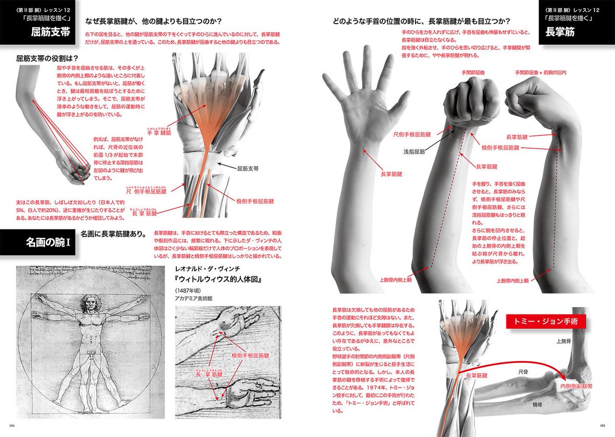 青幻舎 در توییتر 手 腕の表現にお困りの方必読 美術解剖学レッスン 手 腕編 ではタイトル通り 手と腕の部位を集中的に徹底解説 手 腕のしくみを理解すると アニメ コミック 3dなどのキャラクターの動き 表現が俄然幅が広がります T Co
