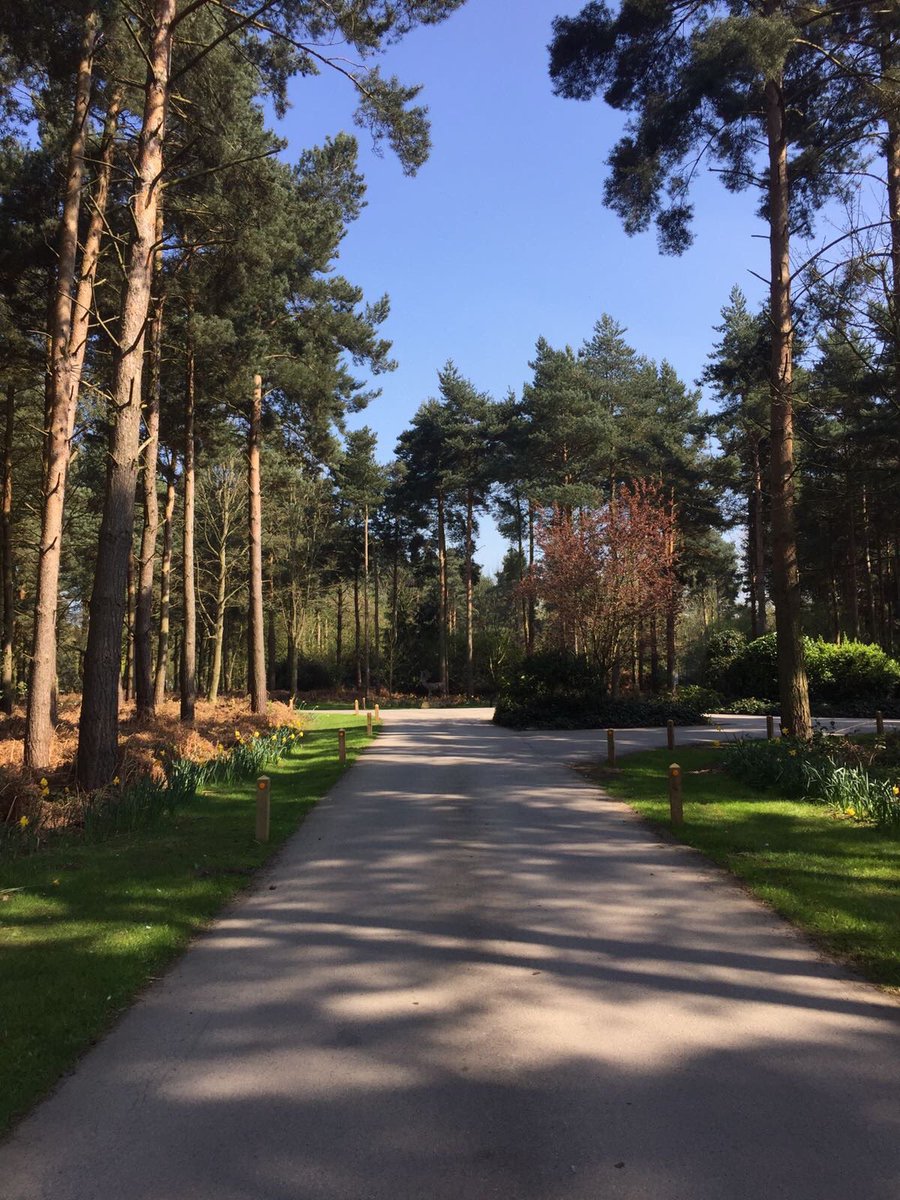 coastlineLtd's tweet photo. Always a warm welcome at @Hollicarrs1 #york #lodges #luxuryliving #yorkshireholiday #yorkshire #escrick #timberlodges https://t.co/rAMDzQWxDO
