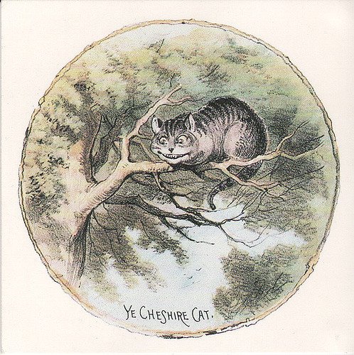 Reinder Storm tweet media