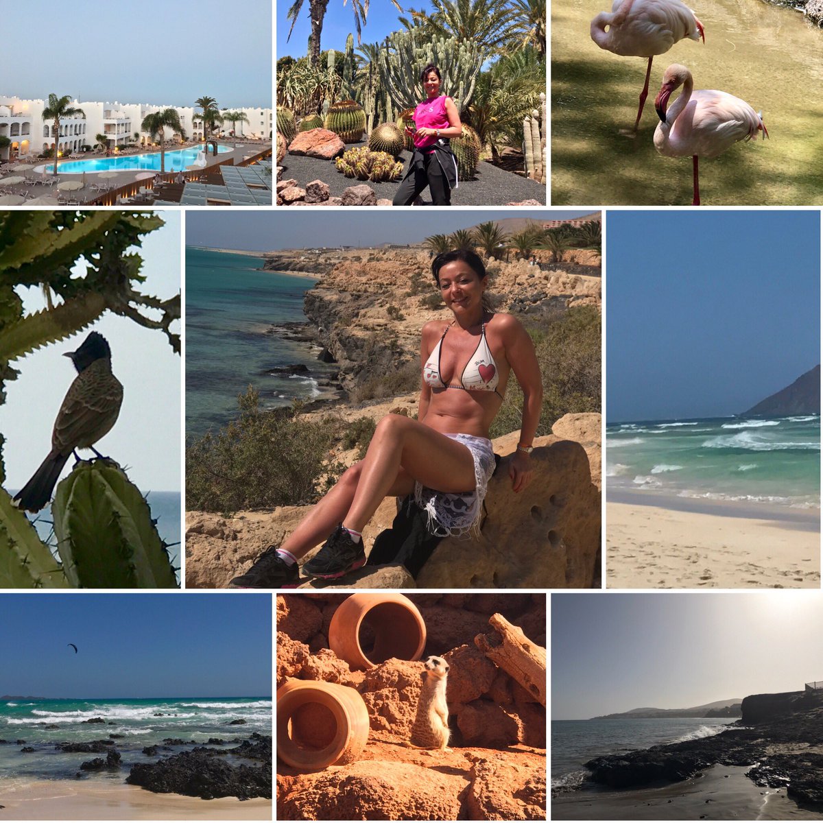 moniawine's tweet photo. #Fuerteventura #oceano #sun #wind #animals #relaxtime #passion #me #family #friends #sea #nature #pace #vacanze #sport #indimenticabile https://t.co/sHeuSjeq8h