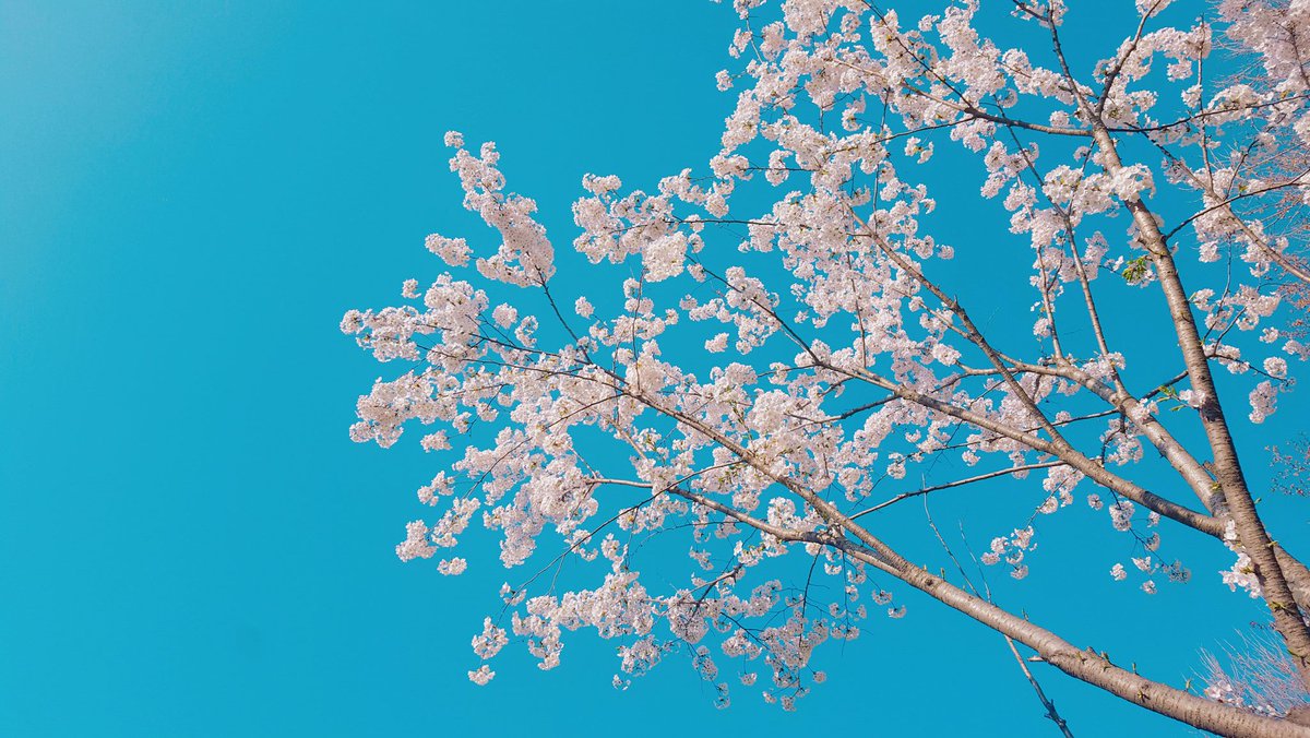 ala_ive_aqua's tweet image. 오늘 서울 날씨 너무 좋았어요!