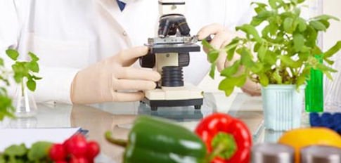 agrosolexport's tweet photo. Turkey and India lead in March alerts for #pesticide #residues in vegetables and fruits - Vía @Hortoinfo2 https://t.co/Yfroya18AE https://t.co/I9hC83HmPU
