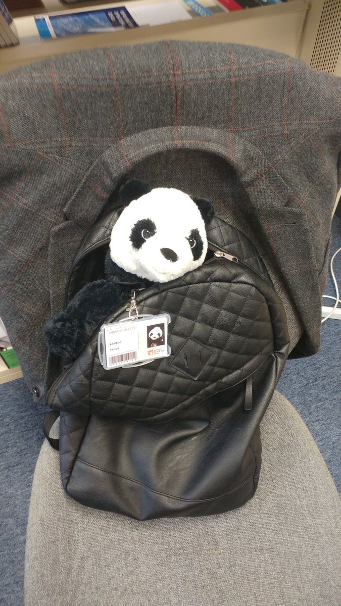 SolentLibrary's tweet image. What are you up to Bamboo? @ssulibpanda #librarymascot