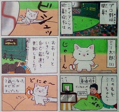 猫ピッチャー 猫ピッチャー