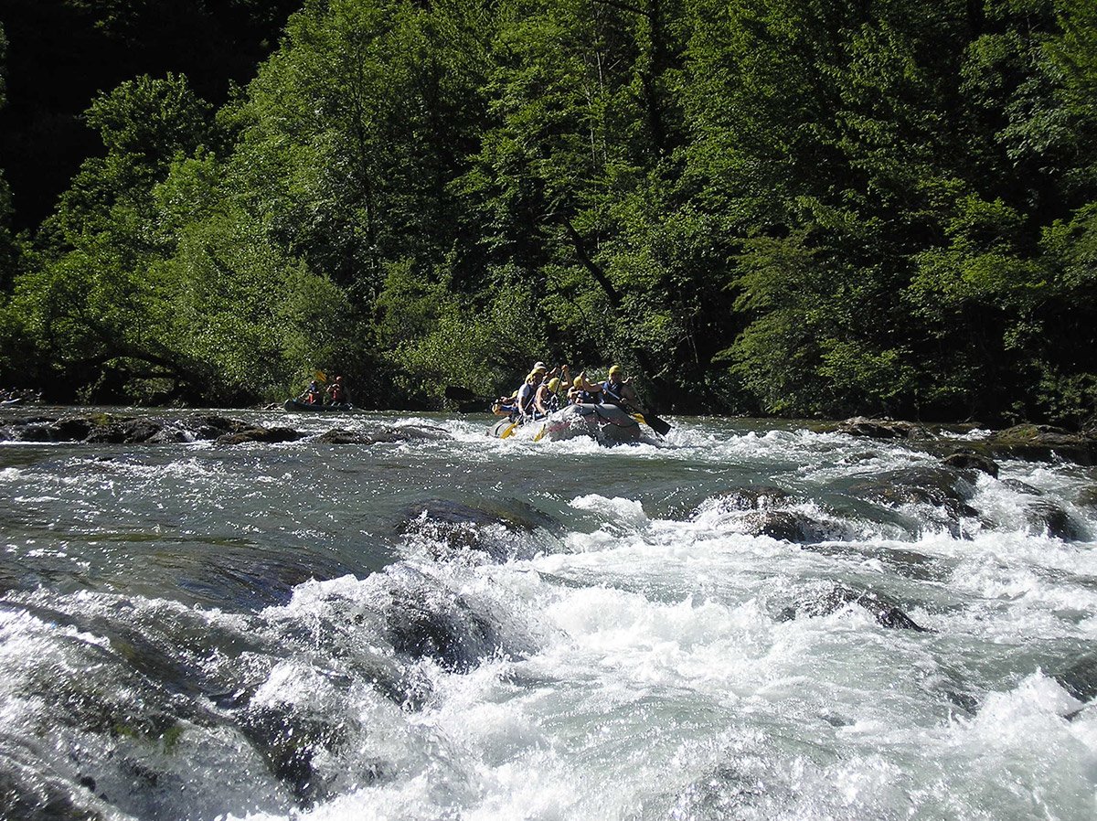 NatureCroatia's tweet photo. River Kupa @gorskikotar @HrvatskaNaDlanu @GorskikotarBike @naturecroatia https://t.co/cWdhVpXkII