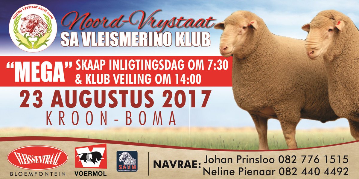 NVSAVM's tweet image. 