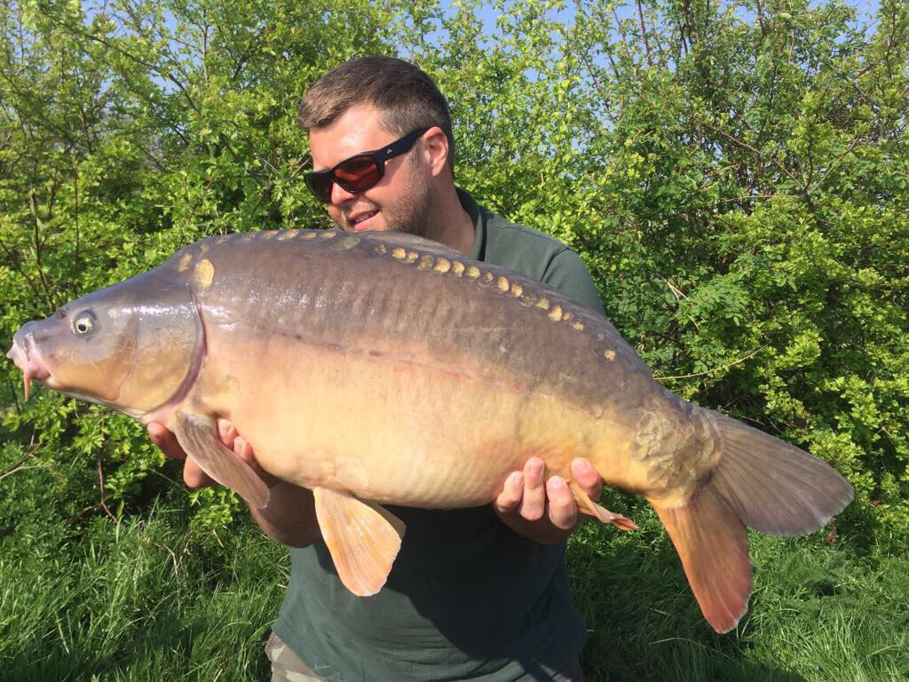 EarlsHallFish's tweet photo. Top Lake producing several good fish inc 3x 30lb plus mirrors @CW_Baits V12 boilies @KordaOfficial kranks https://t.co/BEMrHcauFV