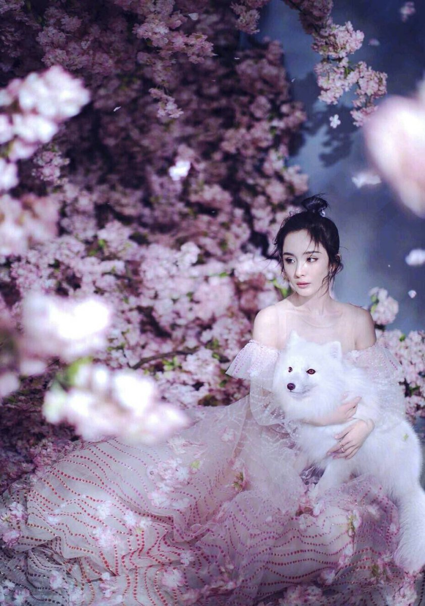 dramapotatoe's tweet photo. More stunning photos of #YangMi for Bazaar - May issue ♥️♥️♥️ [2/2]

#杨幂 #三生三世十里桃花 #EternalLove #cdrama #tenmilesofpeachblossom #tltwtmpb https://t.co/aFiaWNdjfX