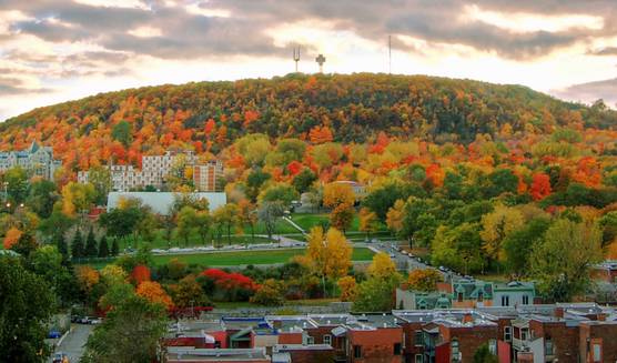 Le MBAM 💗 la montagne! Appuyons le mont Royal à l’#UNESCO: lemontroyal.cauzio.org/fr/actions/j-a… @375Mtl