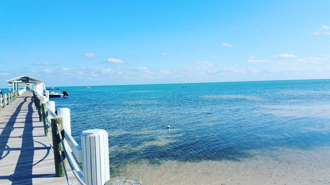 cheecalodge's tweet photo. Take advantage of our pre-summer rates and lock in your family's next vacation today! https://t.co/Hr9mvkTBvk https://t.co/4A44XfSADD