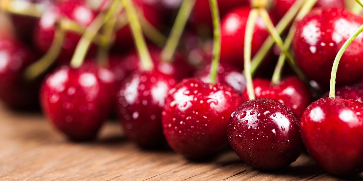 ChelanFresh's tweet photo. Cherry season is only weeks away! Keep checking in for crop updates. #ChelanFreshCherries #WashingtonsFinestMountainGrownFruit https://t.co/QgerfWXXia