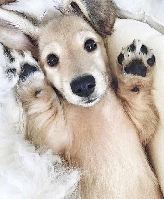 WebOz_'s tweet photo. 💕 #𝕋𝕞𝔹𝕚𝕘𝔽𝕣𝕚𝕖𝕟𝕕𝕤♥️
💗 #𝕋𝕞𝕊𝕚𝕣𝕚💘
@WanditaCordoba
@Irene23399410
@AngelaBorquez4
@moro_tata
@sureQuetefollow
@Nahuel50702476
@AlexAngelMont97 https://t.co/nBIrJgPYhH
