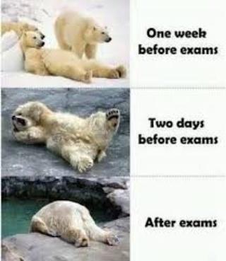 nimelssa_'s tweet photo. #basedonlogistics  its exam season
NIMELSSA wishes everyone writing exams best of luck https://t.co/vFDCVf7Iob