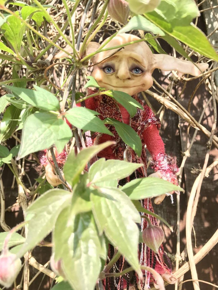 The Orticals have been enjoying the sunshine and playing hide &amp; seek