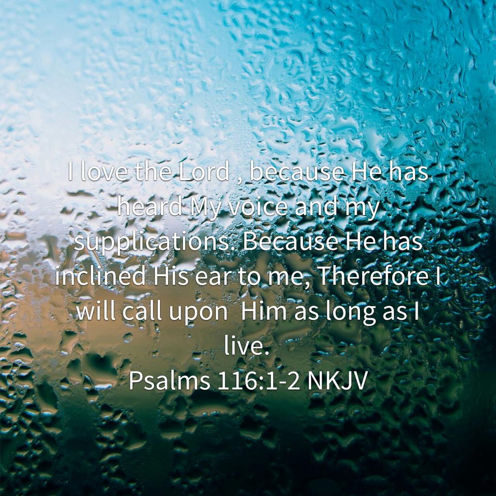 ChitaCollazo's tweet photo. I love the Lord , because He has heard My voice and my supplications. Because He has inclined His ear https://t.co/4S3dJhVIEk