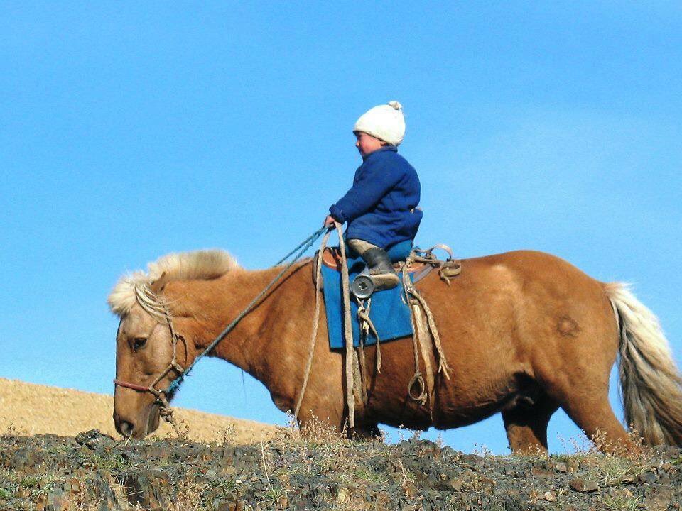 Ganzorig chuluunbor (@ganzooch) on Twitter photo 