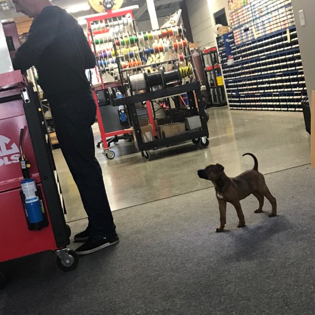 PaceOffroad's tweet image. New addition to the Pace Offroad Crew! #paceoffroad #gregbiffle #utv #offroad #sidebyside #xp #z1 #polaris #rzr #xp100 #z1turbo #sxs