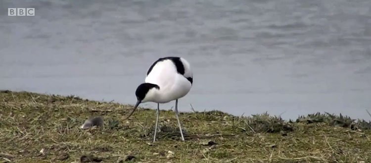 YorksNatureTourism tweet media