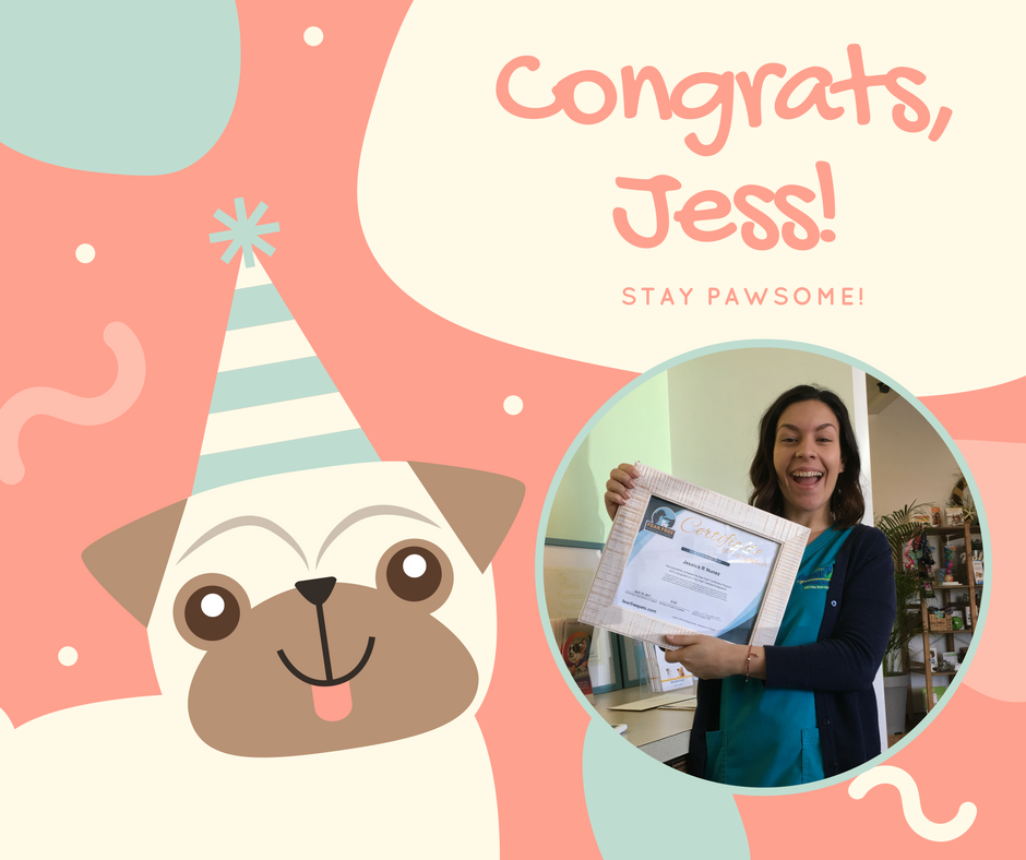 DelMarVet's tweet photo. Jess is officially "Fear Free" certified! Yay!! Way to go! https://t.co/LzpiBCMIem