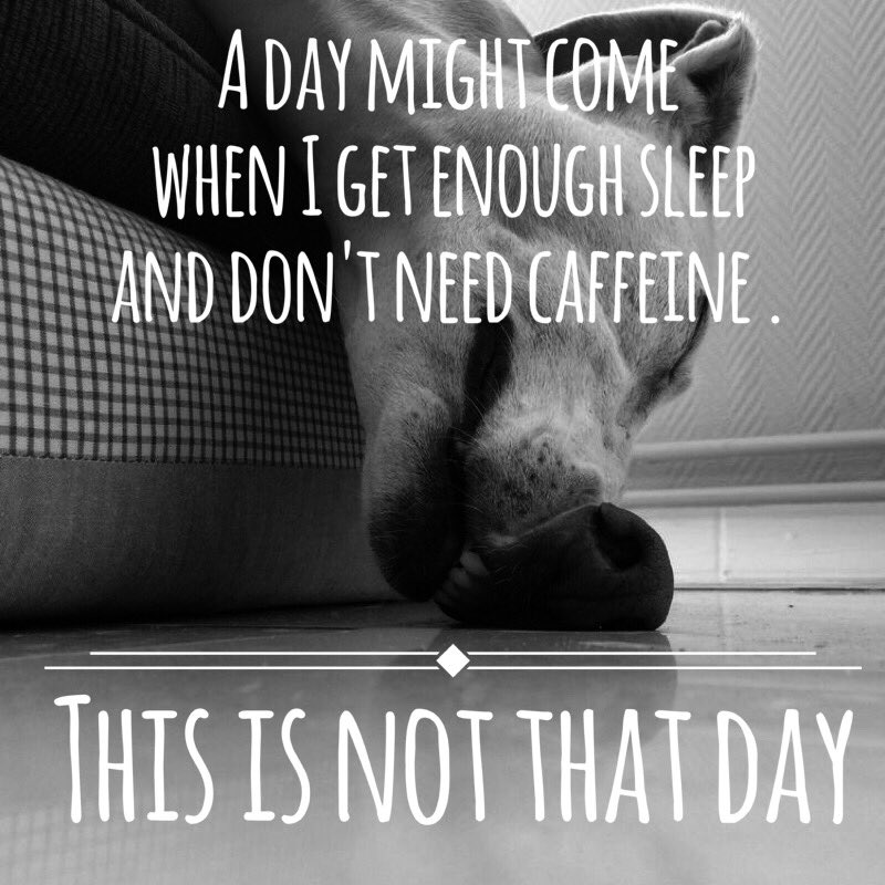 SavTeaRoom's tweet photo. Must make myself some tea. #teaπ΅ #Monday #makemetea #caffeine #currentsituation https://t.co/BQUclFRrOS
