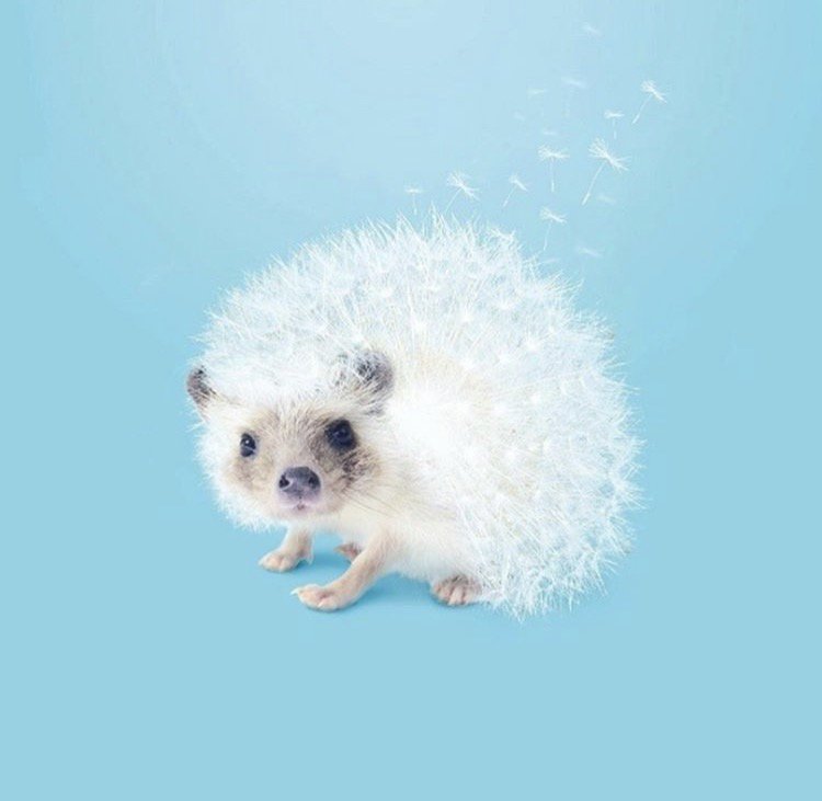 demagny_kim's tweet photo. Coup de coeur du jour by Artem Pozdiniakov #360Brain #Art #Design #Graphic https://t.co/aXf5Nfjas4
