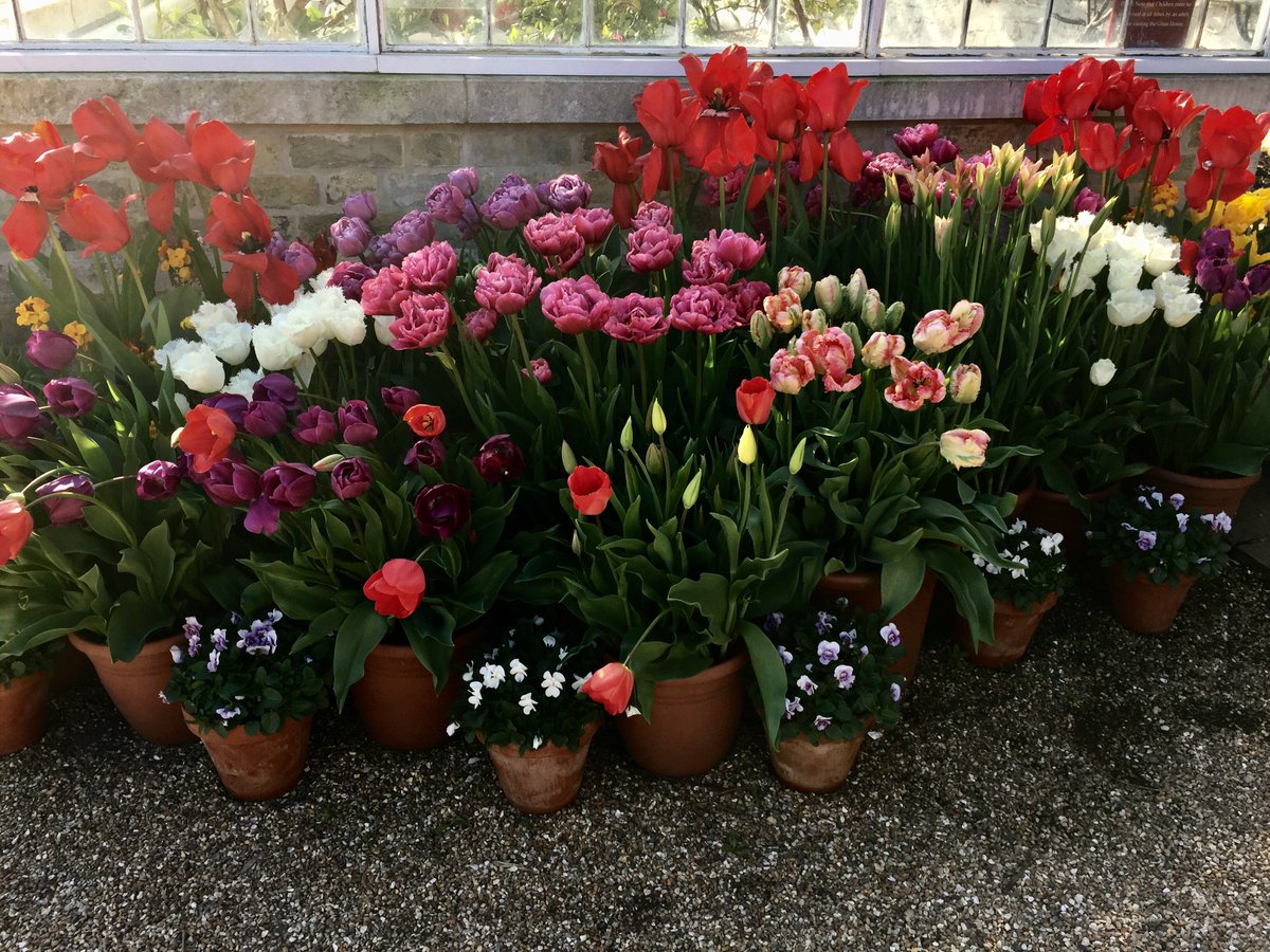 KarenTStudio's tweet photo. Inspired by Spring? Last chance to sign up for April Art classes today! Go to https://t.co/L9cNHmeuHn        @TLTeddington @Teddington_Town https://t.co/gZiKhV3cTe