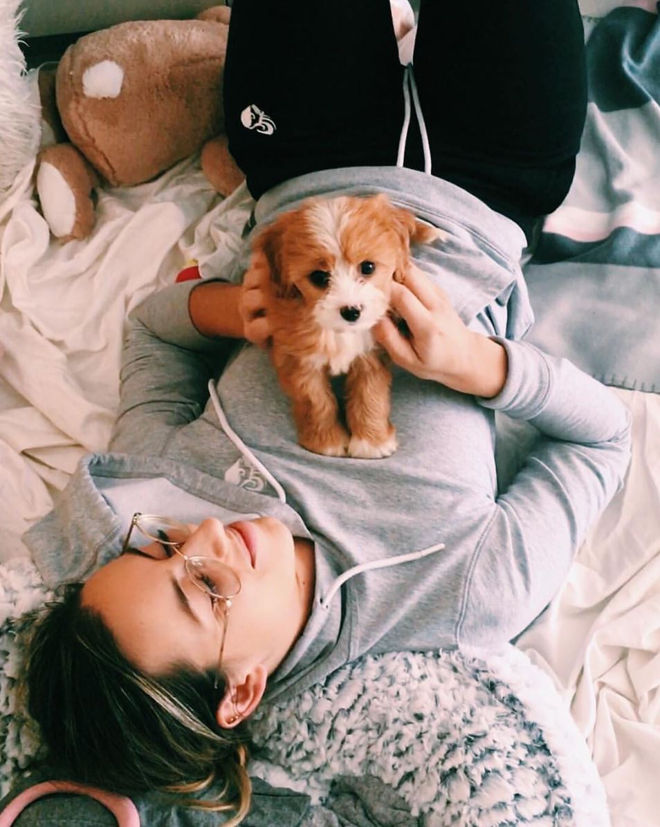 womensbest's tweet photo. #cuddletime 🐶
@madalingiorgetta spends her evening in her cozy #WomensBest Joggers. Go to https://t.co/X38MyvEgo5 to get yours! https://t.co/OIIu4ELFyc