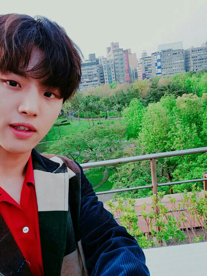 Cookiehong tweet media